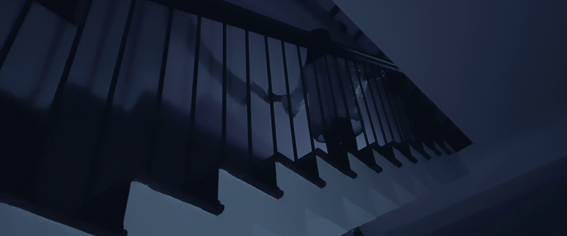 vlcsnap 2022 06 11 02h31m10s518 2