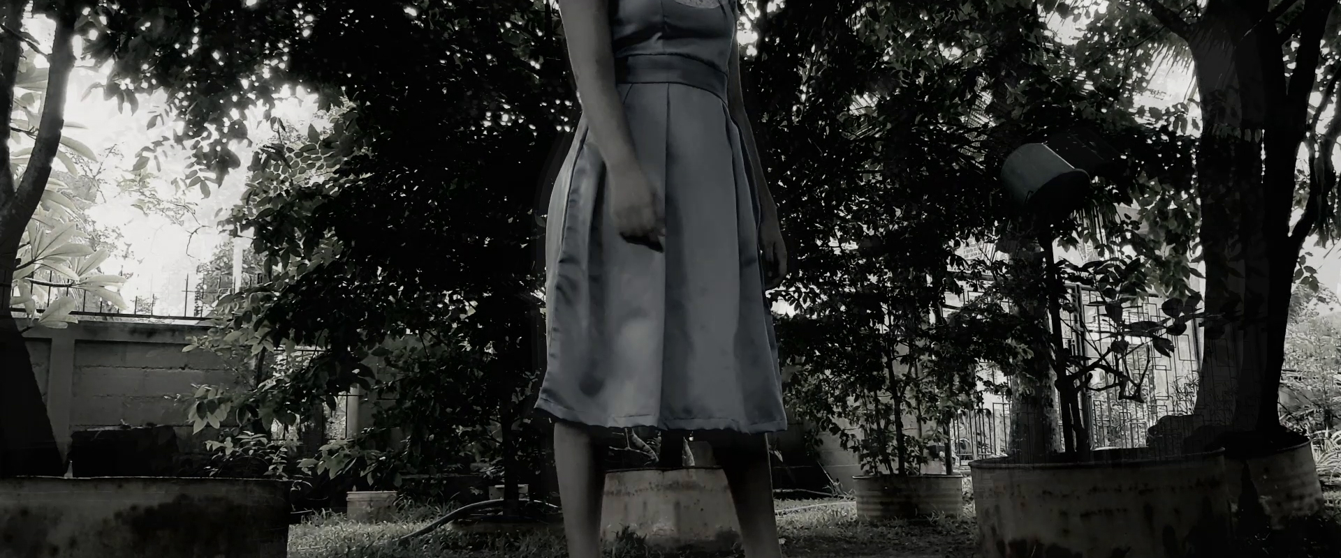 vlcsnap 2022 06 11 02h34m52s216 2